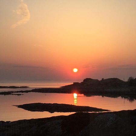 Senjehesten Superior Cottage With Sea View In Senja מראה חיצוני תמונה